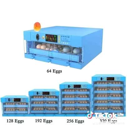 64 eggs incubator image 4
