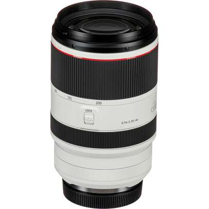 Canon RF 70-200mm f/2.8 L IS USM Lens image 2