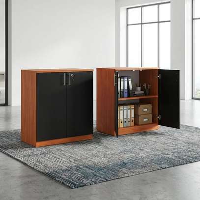 2 Door Lockbale Credenza Cabinet image 6