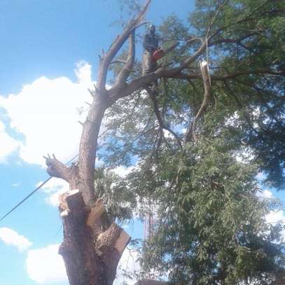 Emergency Handyman Lavington | Roof Plumbing Electrical Fix image 10