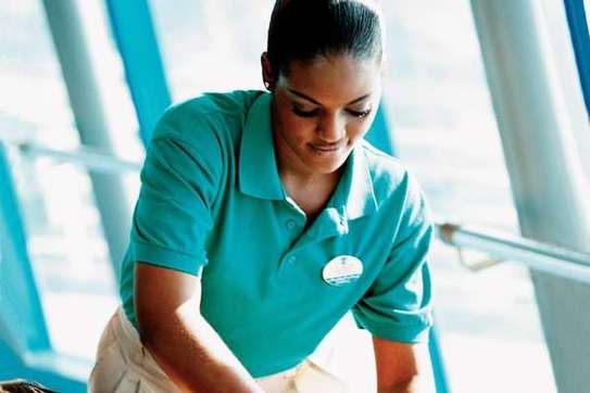 Chef/Cooks, Housekeepers, Gardeners, Drivers & Chauffeurs, Domestic Helpers, Carpet Cleaning ,Curtain Cleaning, Cleaners & Garden Services in Nairobi. image 10