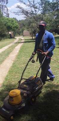 Landscaping & Grounds Maintenance Services in Muthaiga image 2