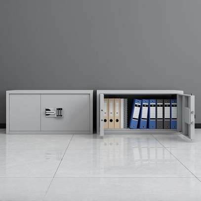 2 Door Low Level Office File Cabinet image 5