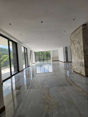 5 Bed House with En Suite in Nyari image 4