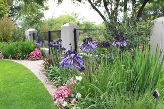 Gardening & Landscaping Services in Karen image 5