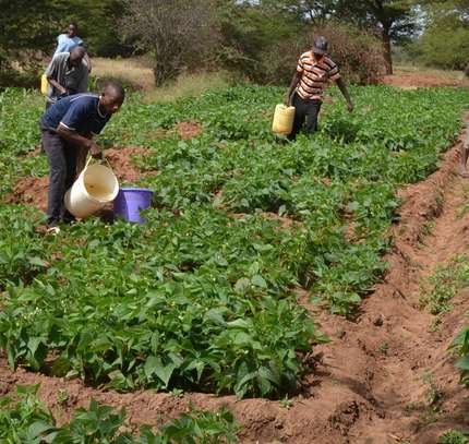 Professional Domestic Help Services in MURANGA image 14