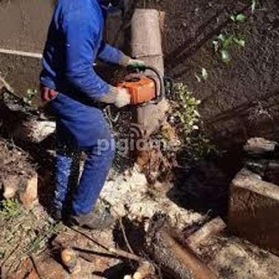 Trusted & Vetted Gardeners Recruitment Agency Kenya image 6