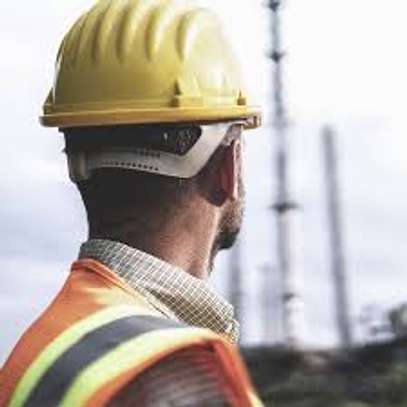 Labour & Manpower Outsourcing Services in Muthaiga, Nairobi image 6