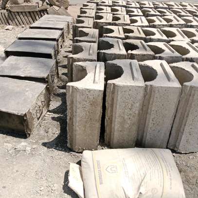 IBD Moulds image 2