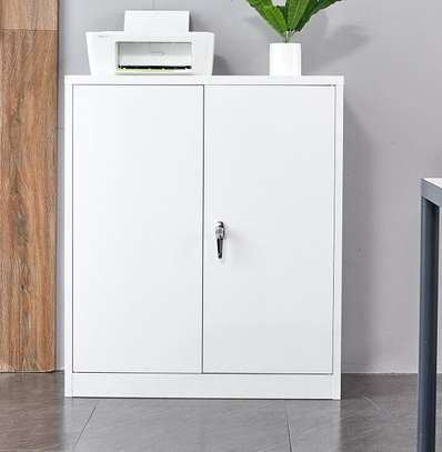 Office Cabinet: 2-Door Office Cabinet In Gesima image 2