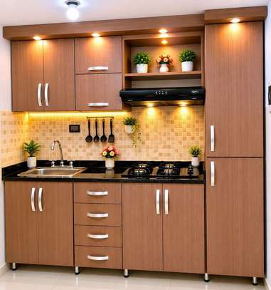 LABARATORY CABINETS image 2