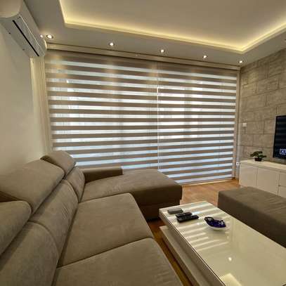 zebra blinds image 3