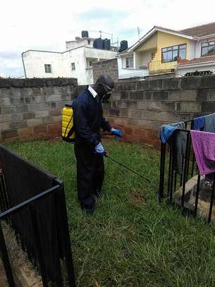 Pest Control and Fumigation Services Garden Estate image 5