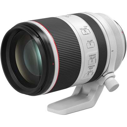 Canon RF 70-200mm f/2.8 L IS USM Lens image 4