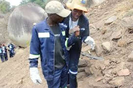 Historic Restoration & Preservation – Nairobi, Kenya image 15
