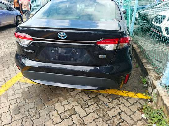 Toyota Corolla sedan image 10