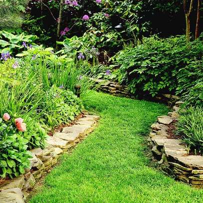 Landscaping & Gardening Services Kitisuru image 12