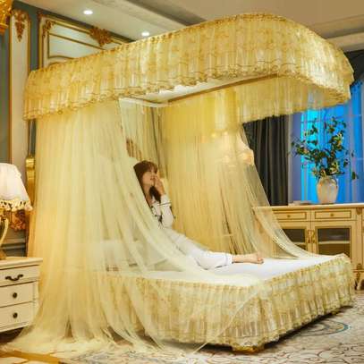 Two stand rail mosquito net image 2