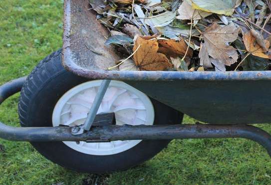 Professional Gardeners for Hire in Ruiru Nairobi image 3