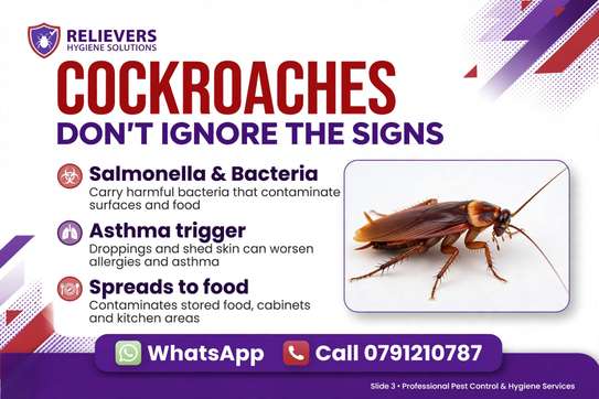 Cockroaches Spraying Services image 2