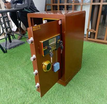60Kgs Fireproof Home/ Office Safe image 2