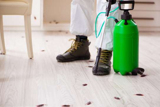 Pest Control & Fumigation Services in Nyeri and across Kenya image 2