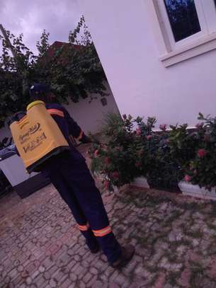 Pest Control and Fumigation Services Kasarani image 3