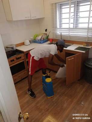 Pest Control and Fumigation Services Lucky Summer image 2