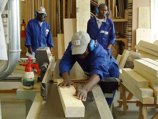 Professional Domestic Help Services in MURANGA image 6
