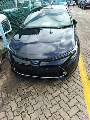 Toyota Corolla sedan image 16