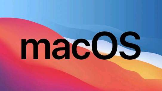INSTALLING MACOS ON WINDOWS image 2