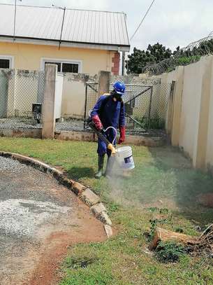 Pest Control and Fumigation Services Joska image 6