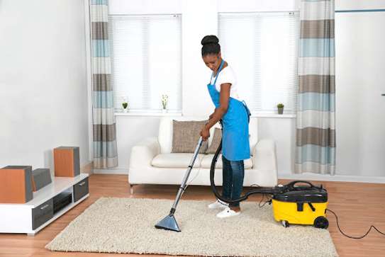 Need A House Help  |  Cook |  Driver |  Babysitter |  Caregiver | House Boy |  Gardener | Housekeeping Services | Cleaning & Domestic Services. image 7