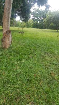 LAND FOR SALE ON THE CREEK. image 5