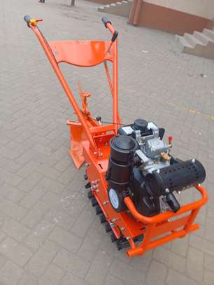 Farrowing Chain Tiller 7Hp image 3