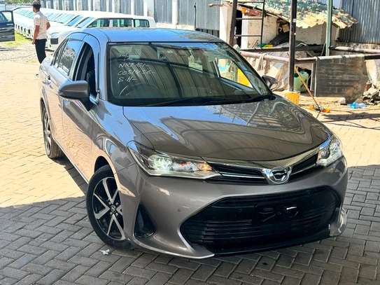 TOYOTA AXIO Compact Hatchback Gray Efficient City Car 2019 image 3
