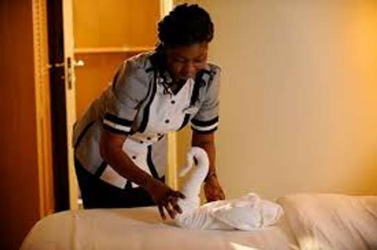 Chef/Cooks, Housekeepers, Gardeners, Drivers & Chauffeurs, Domestic Helpers, Carpet Cleaning ,Curtain Cleaning, Cleaners & Garden Services in Nairobi. image 11