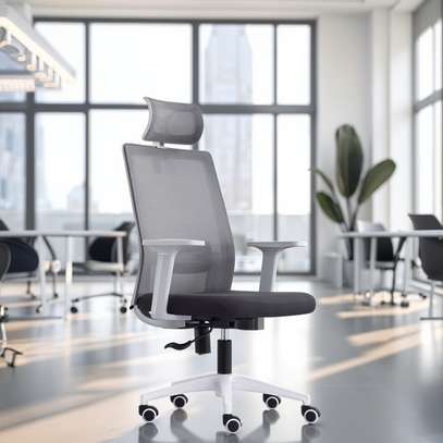 Office Chairs:Ergonomic High-Back Office Chair In Suneka image 5