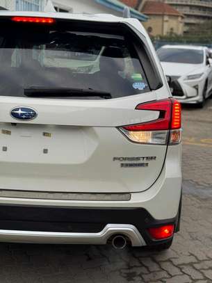 Subaru Forester E-Boxer 2019 Sunroof AWD image 13