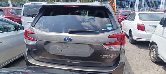 Subaru Forester E-boxer Grey 2018 image 9