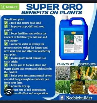 Super gro 1litre and 5 litre image 3