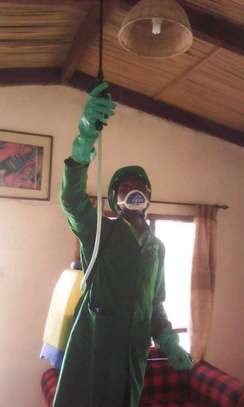 Pest Control and Fumigation Services Mwihoko image 7
