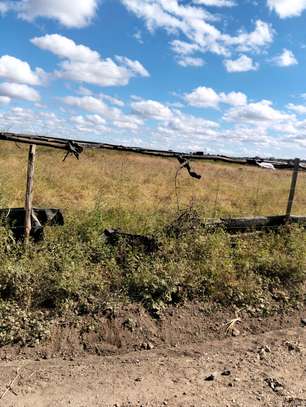 Expansive Rural Land 10 Acres Flat Fertile Soil image 3