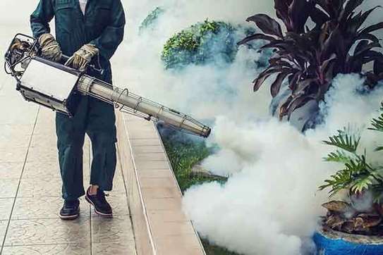 Pest Control & Fumigation Services in Nyeri and across Kenya image 6