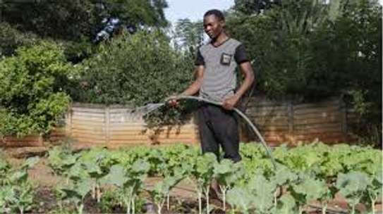 Domestic Workers for Hire-Thika Kiambu Limuru Ruiru Juja image 4