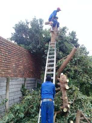 Bestcare Facilities Management – Peponi, Kitisuru & Nairobi image 8