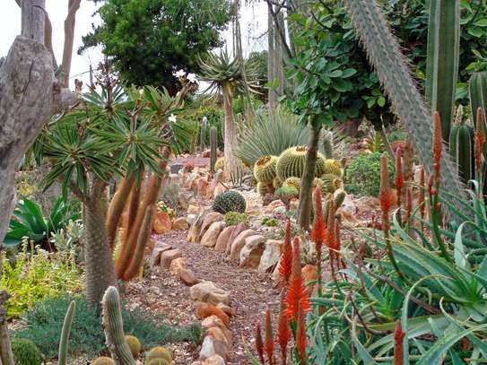 Professional Gardeners for Hire in Ruiru Nairobi image 10
