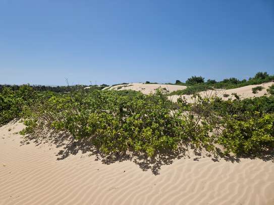 Malindi beachside plots — 50×100 ft. From KES 2M per plot image 7