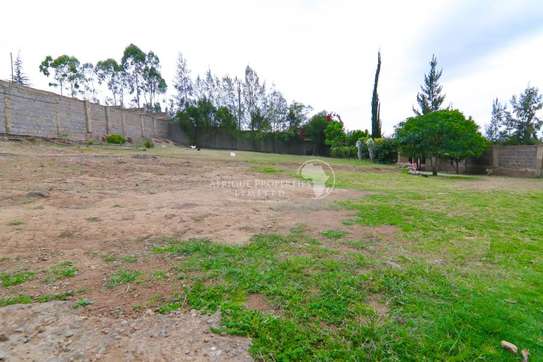 5 Bedroom All Ensuite+Dsq House For Sale In Naivasha image 6