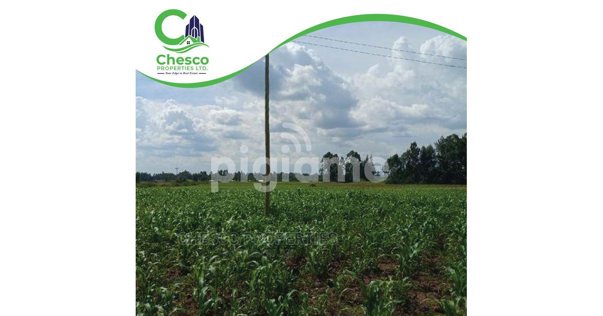 29 Acres For Sell Harambee Kakamega County in Kakamega PigiaMe